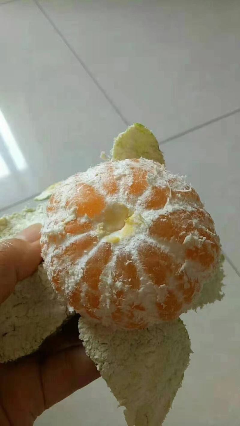 高山特早蜜橘，价格便宜，货源充足，一条龙服务，诚信代办