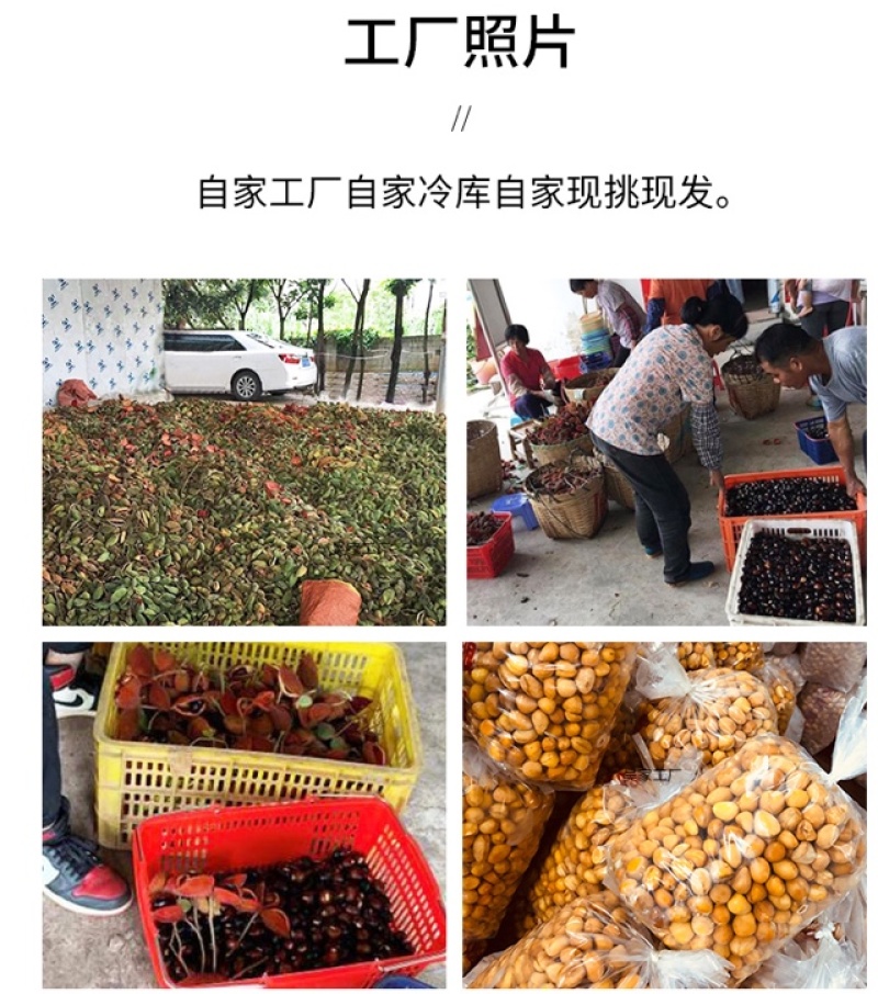 凤眼果