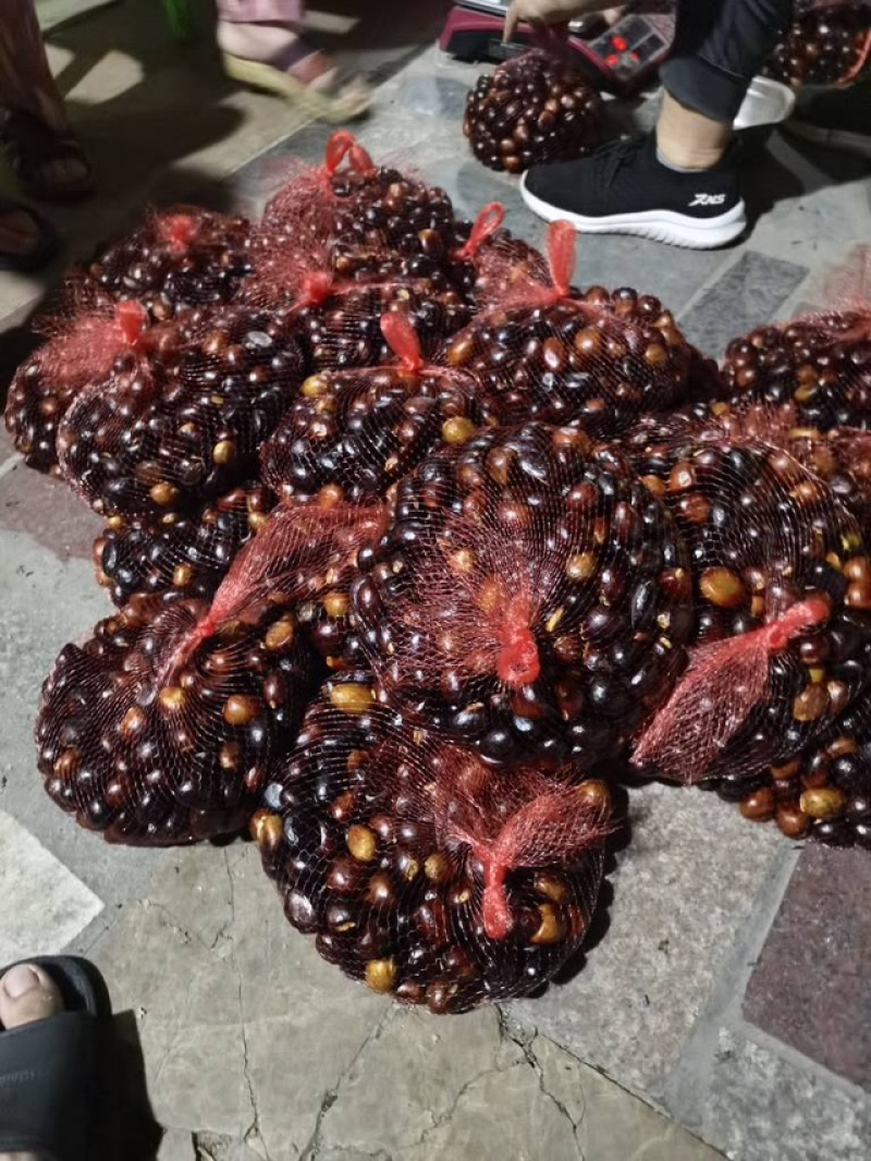 凤眼果