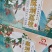 广西桂平麻垌桂味10斤装顺丰包邮