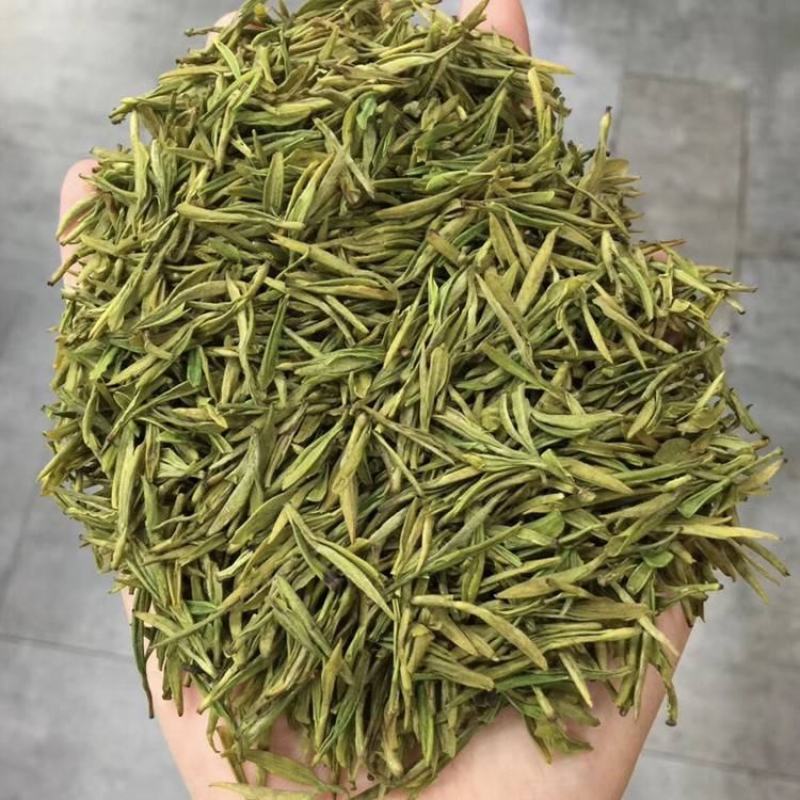 包邮安吉白茶今年新茶正宗安吉白茶黄金芽雨前茶叶高山绿茶