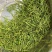 包邮安吉白茶今年新茶正宗安吉白茶黄金芽雨前茶叶高山绿茶