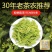 包邮安吉白茶今年新茶正宗安吉白茶黄金芽雨前茶叶高山绿茶