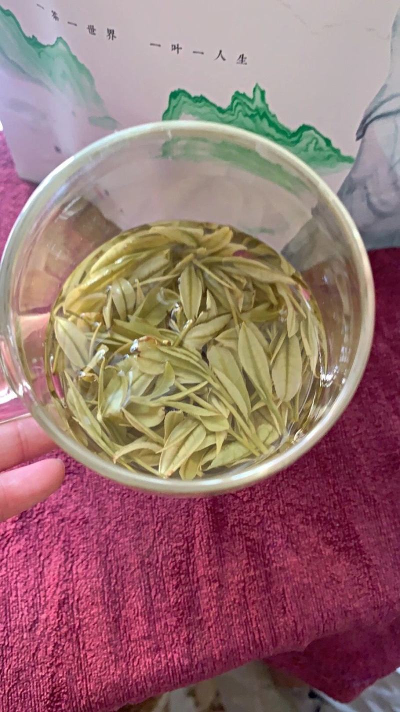 包邮安吉白茶今年新茶正宗安吉白茶黄金芽雨前茶叶高山绿茶