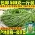 贡菜干贡菜干货苔干菜苔菜干响菜脱水蔬菜新鲜干菜土特产h