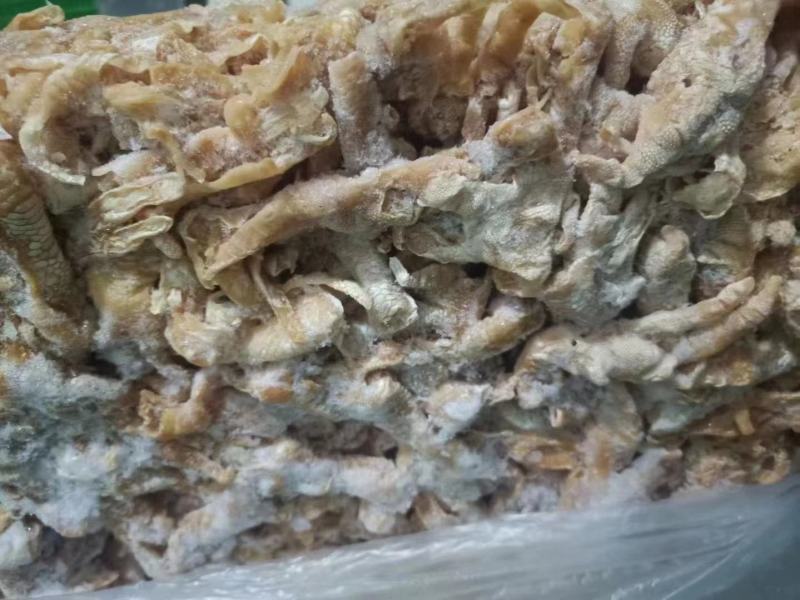 去骨鸡爪没泡发的原材料