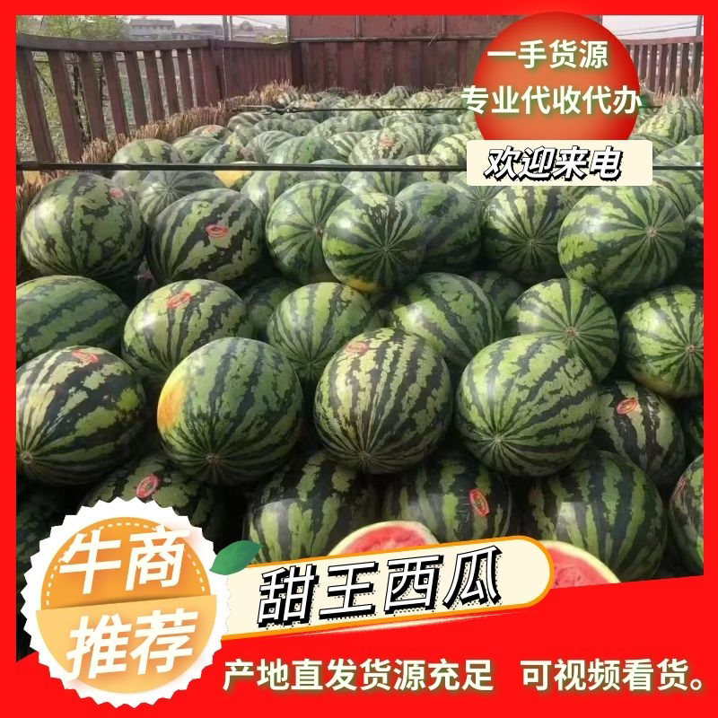 [推荐]甜王西瓜西瓜产地货源价格优惠口感好甜度高