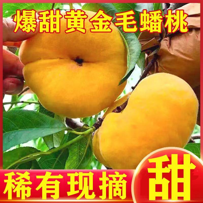 【爆甜】纯甜黄金毛蟠桃黄毛蟠桃黄心油桃黄油扁桃新鲜水果桃