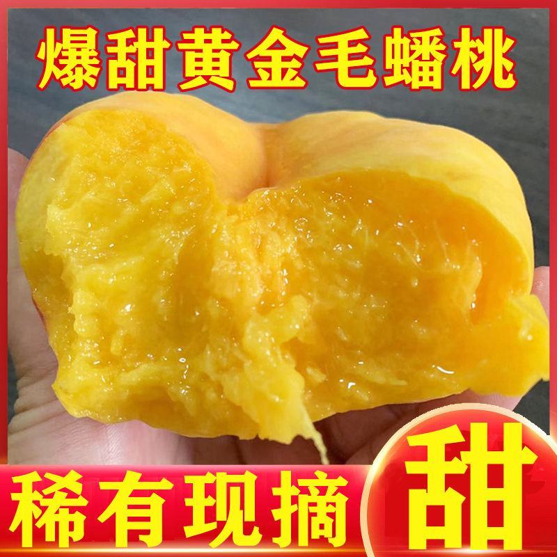 【爆甜】纯甜黄金毛蟠桃黄毛蟠桃黄心油桃黄油扁桃新鲜水果桃