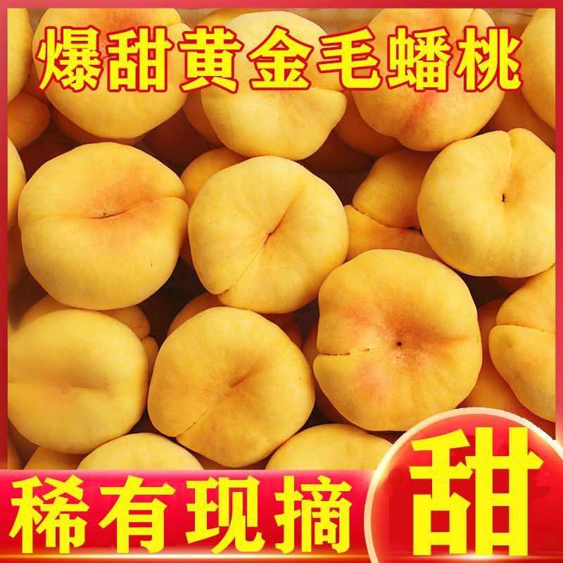 【爆甜】纯甜黄金毛蟠桃黄毛蟠桃黄心油桃黄油扁桃新鲜水果桃
