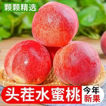 【爆甜】桃子新鲜水蜜桃5斤脆甜毛桃应季水果红桃包邮