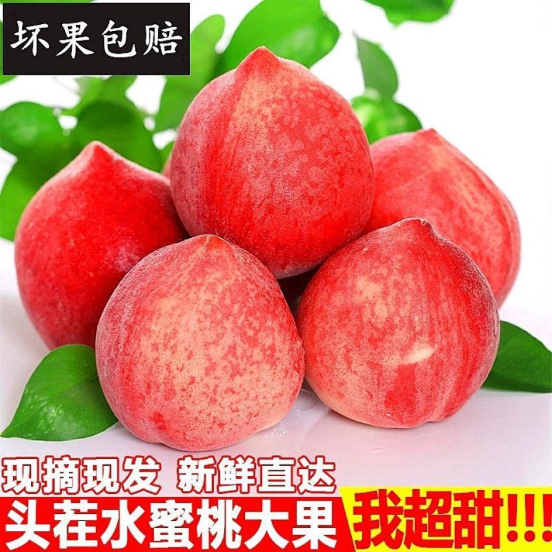 【爆甜】桃子新鲜水蜜桃5斤脆甜毛桃应季水果红桃包邮