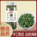 桑叶茶霜后看桑叶厂家批发