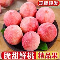 水蜜桃净重4.6斤彩箱应季桃子水果现摘毛桃甜红不软桃子单
