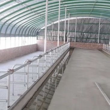 特价新型养牛棚含配给和覆盖层全国发货包建