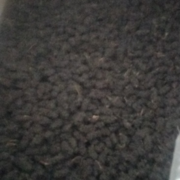 桑椹干