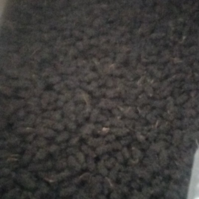 桑椹干