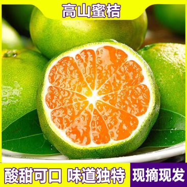 云南特早蜜橘柑橘柑桔产地供应电商社区团购市场批发