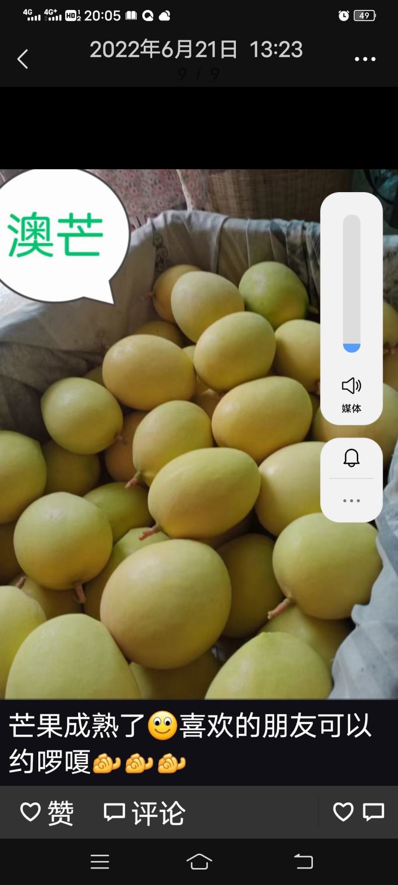 芒果原产地出售澳芒