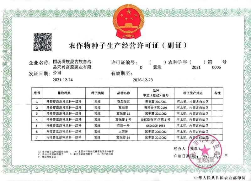 脱毒原种荷兰十五806沃土5号，超九，适合全国各地种植