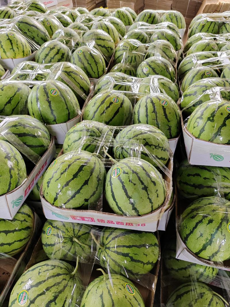 湖北露天京杂/京源西瓜，规格7～13，糖分12.5以上。