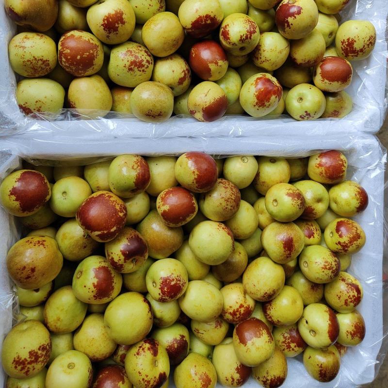 大荔冬枣