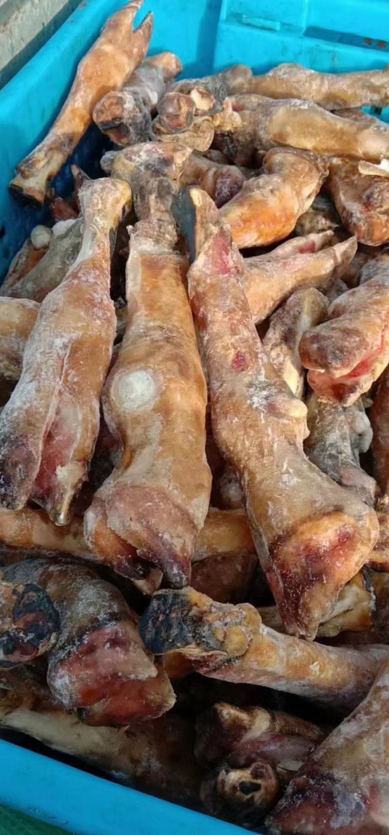 牛蛋羊蹄羊头牛头牛鞭牛心管小鲜百叶盐百叶