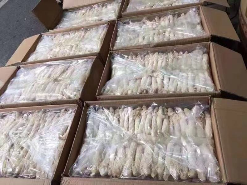 贵州竹荪产地直销批发红托竹荪织金菌菇干货蘑菇土特产竹笙
