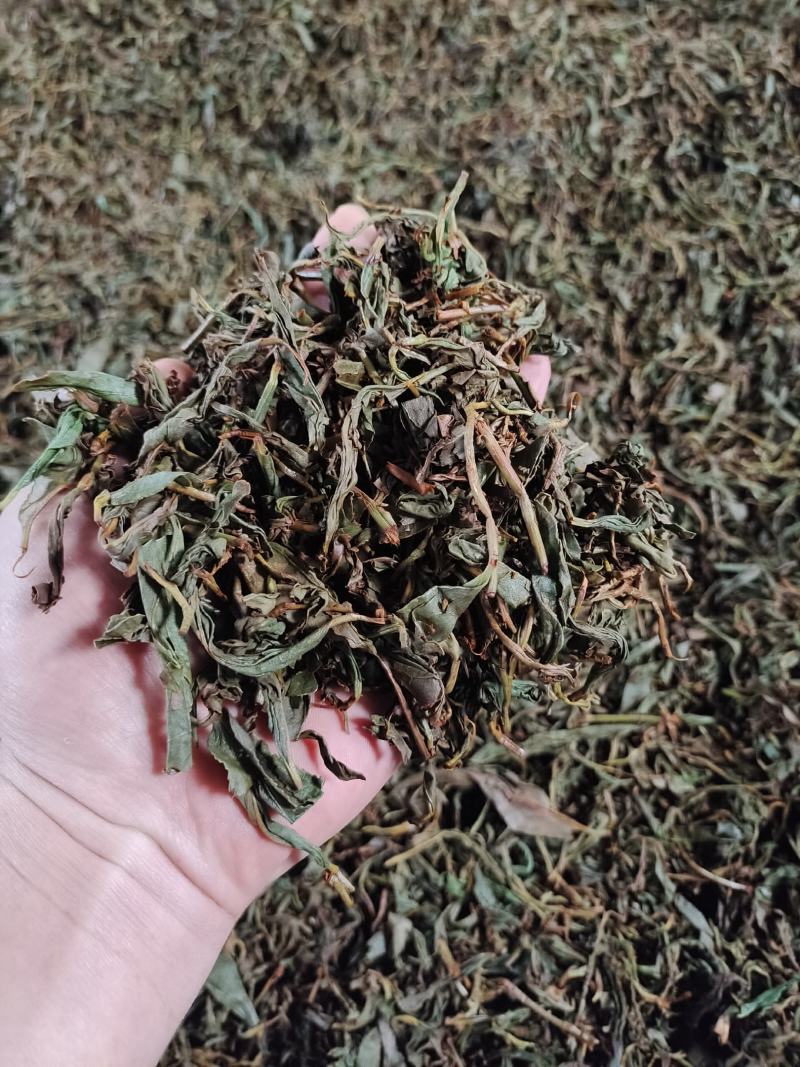 [热卖]福建厦门水蜜桃花果香红茶红茶茶叶厂家批发