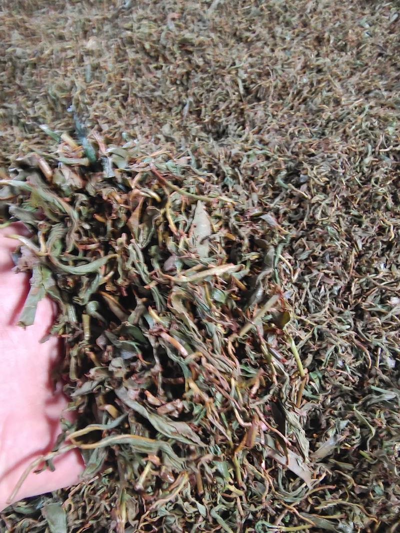 [热卖]福建厦门水蜜桃花果香红茶红茶茶叶厂家批发
