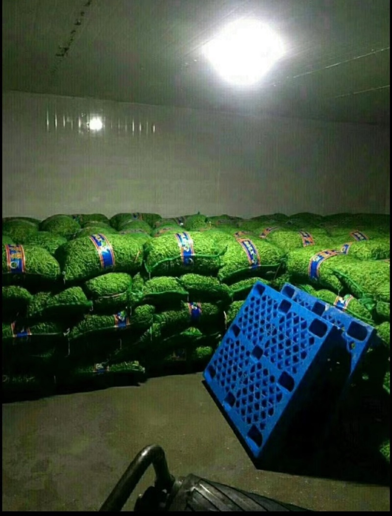 开心绿毛豆-基地直供-保质保量-货源充足-价格合理