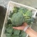 宁夏精品西兰花大量上市，价格合适，需要的电话联系