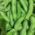 翠绿宝毛豆-基地直供-货源充足-保质保量-价格合理