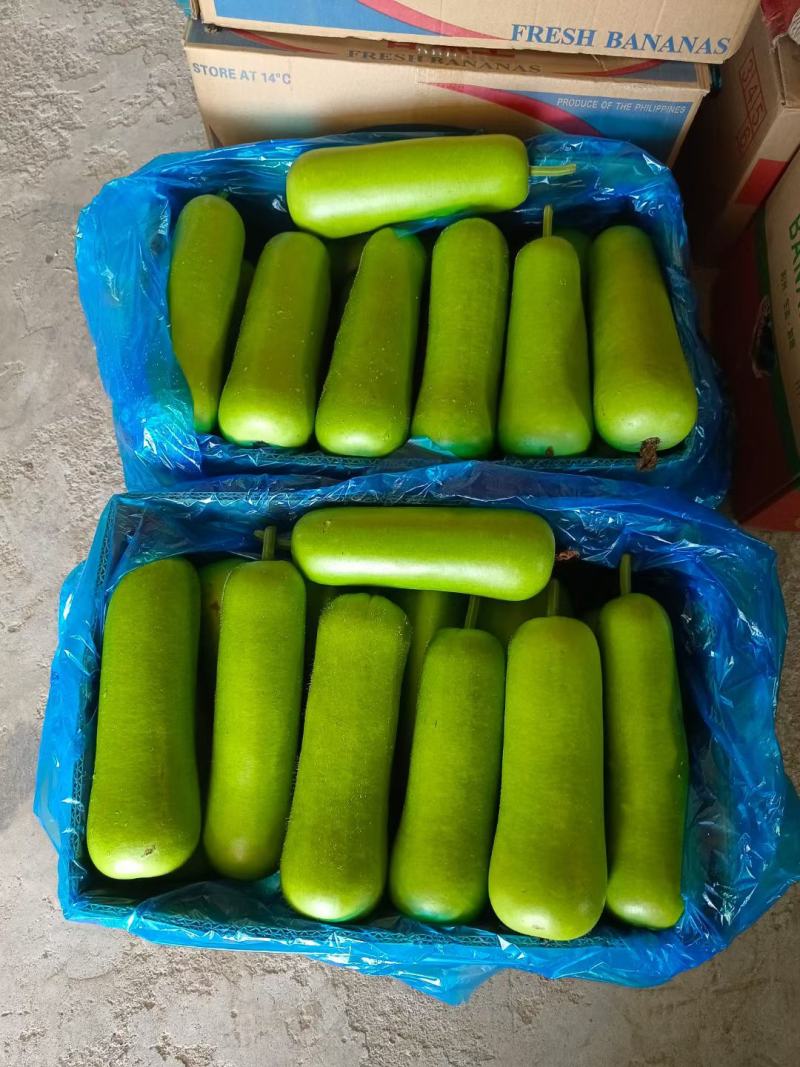 海门区蔬菜基地精品瓠瓜(户子)，自产自销，价格便宜
