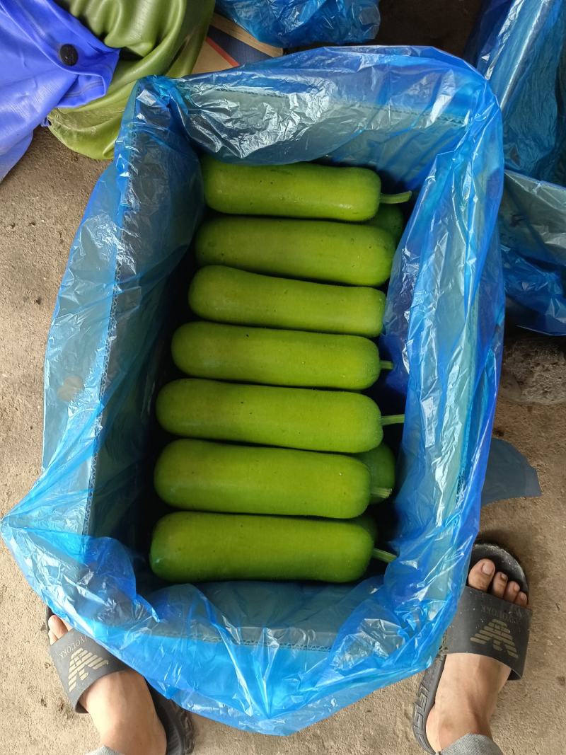 海门区蔬菜基地精品瓠瓜(户子)，自产自销，价格便宜