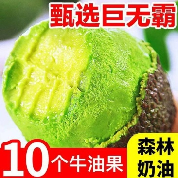 秘鲁牛油果新鲜水果婴儿辅食孕妇营养6-10个装即食鳄梨哈