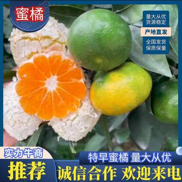 高山蜜橘特早柑橘自产自销纯甜化渣对接电商团购平台为主