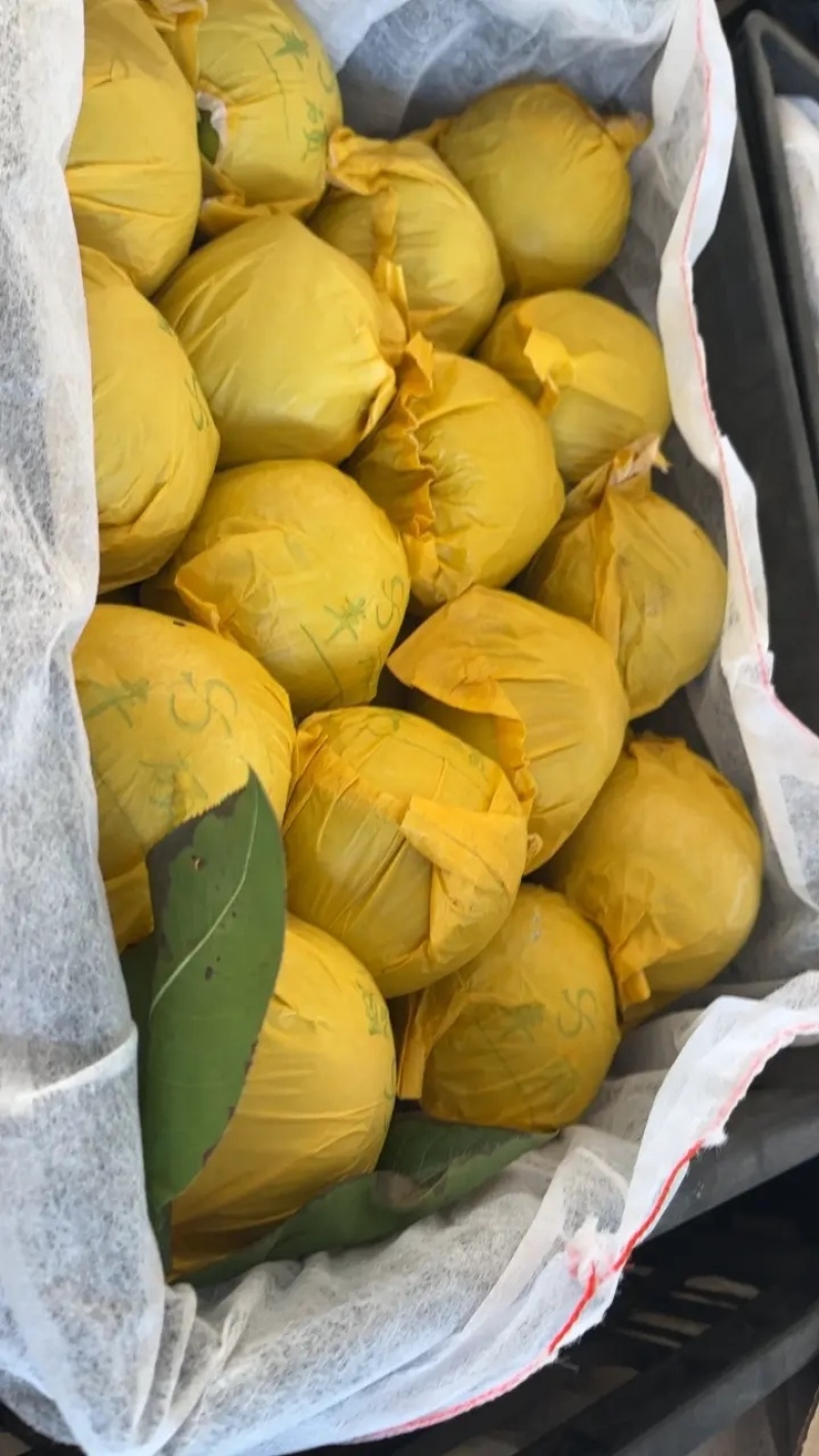 精品翠玉梨皮薄肉细甜度高汁水多耐运输代发全国