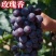 山东玫瑰香葡萄老品种葡萄阳光玫瑰一件代发水果店批发商超
