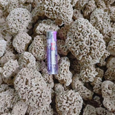 石花海浮石花海浮石