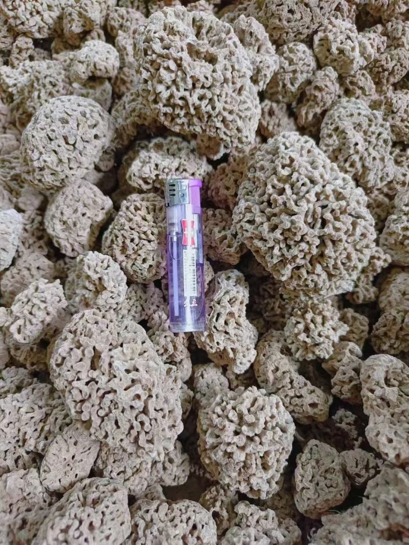 石花海浮石花海浮石
