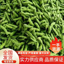 【推荐】山东精品毛豆翠绿宝毛豆大量上市全国发货