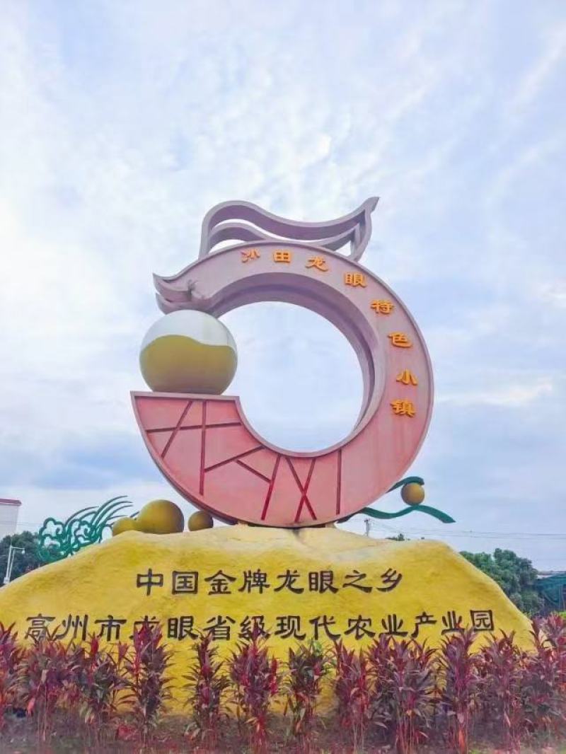 高州龙眼之乡，石硖统果，园子货，全部都能安排上，欢迎老板