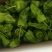 高山蔬菜