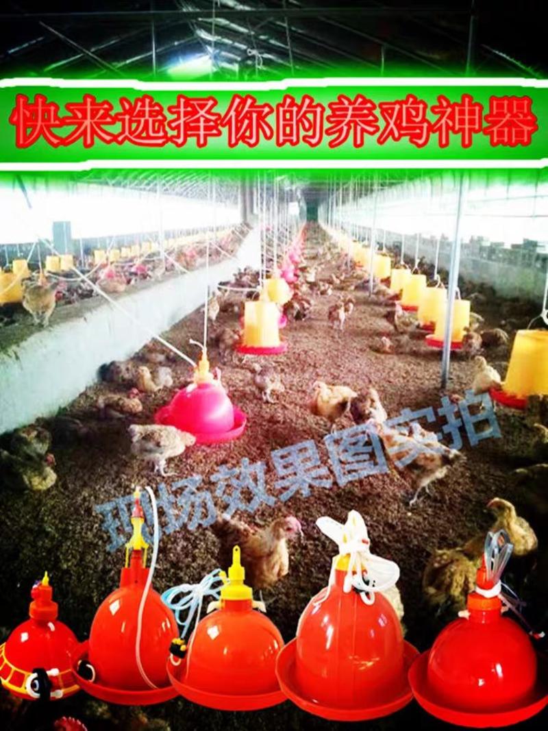 超厚普拉松养鸡用自动饮水器鸡鸭鹅喂加水壶养鸡设备养殖用品
