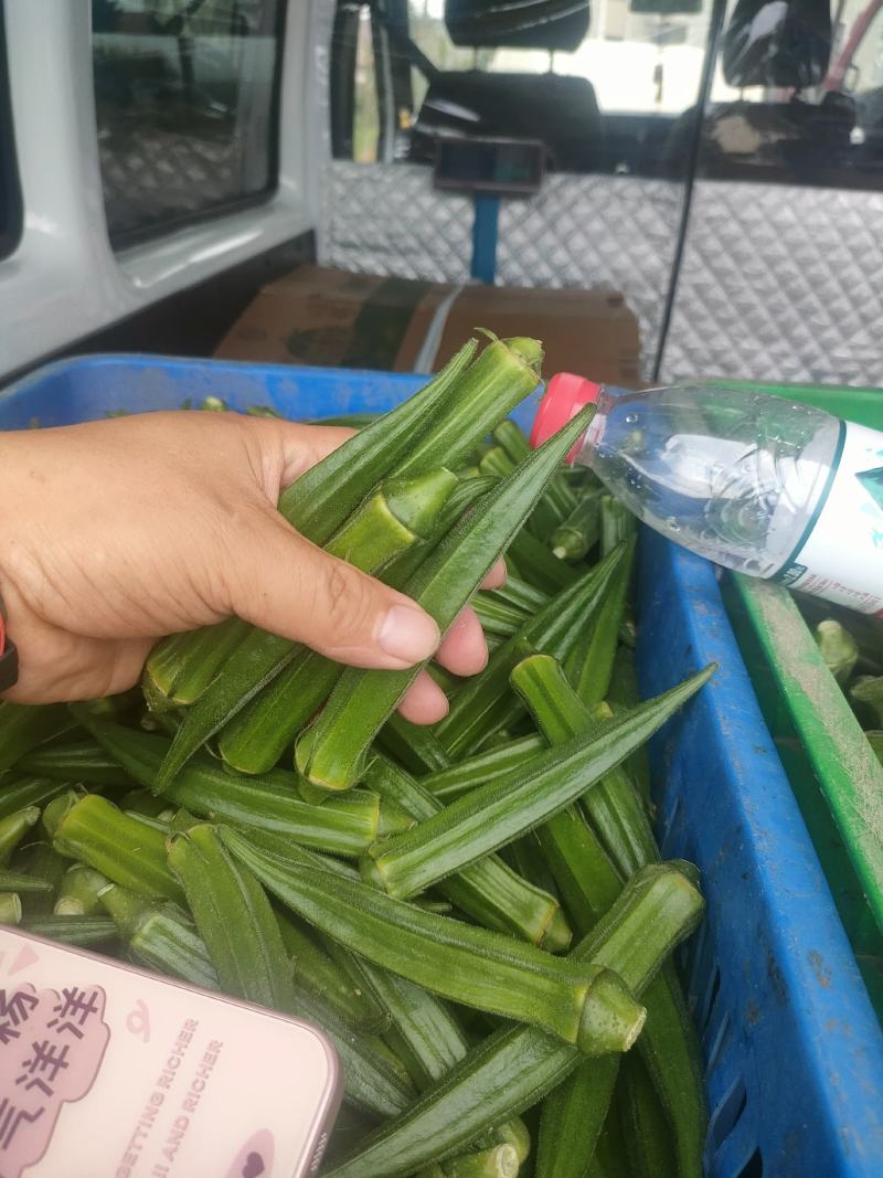 秋葵供商超农贸电商平台机关食堂