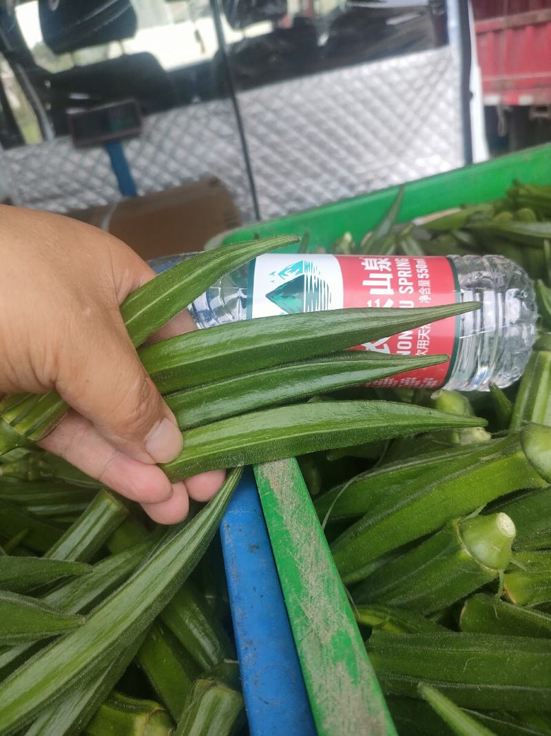 秋葵供商超农贸电商平台机关食堂