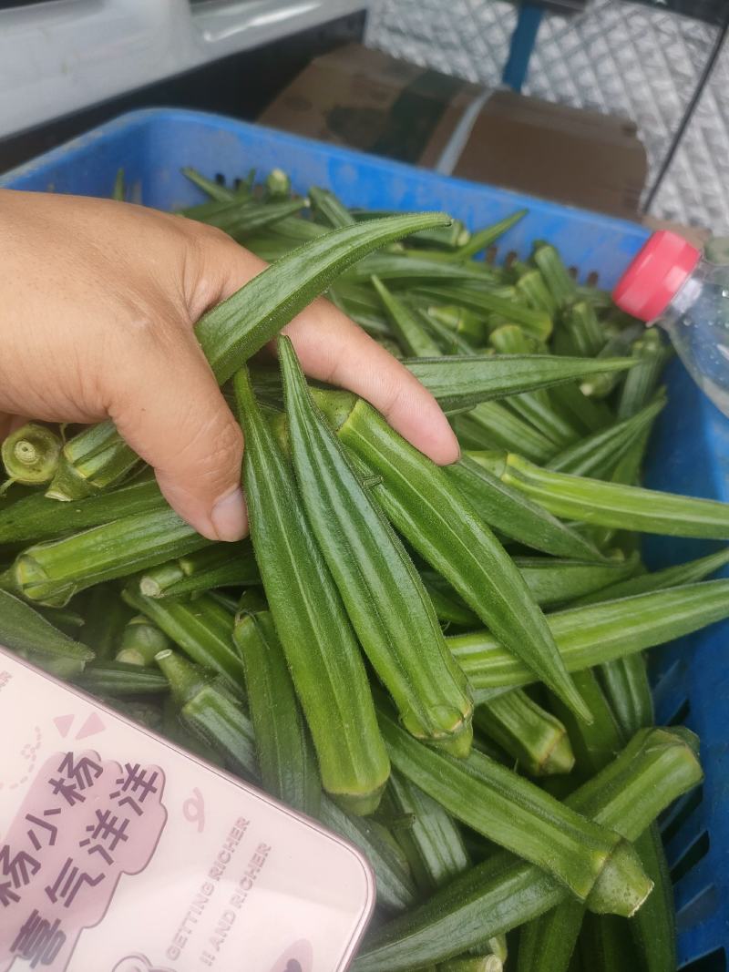 秋葵供商超农贸电商平台机关食堂