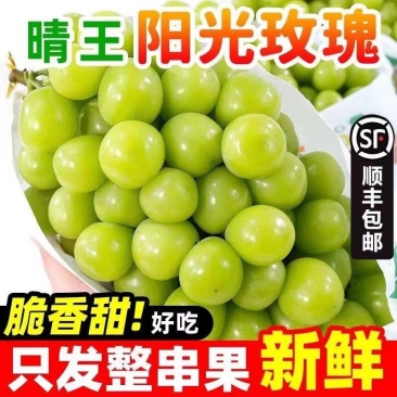 现摘阳光玫瑰葡萄香印晴王青提子无籽新鲜水果当季整箱5斤包