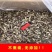 新货鹿茸菇云南特产鹿茸菇干货新鲜香菇干货无碎无硫多省包邮